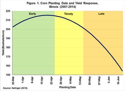 Corn-planting.jpg